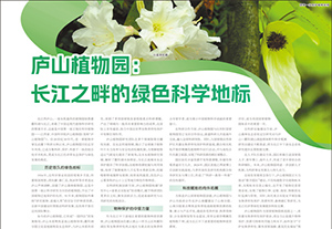 廬山植物園：長江之畔的綠色科學(xué)地標(biāo)